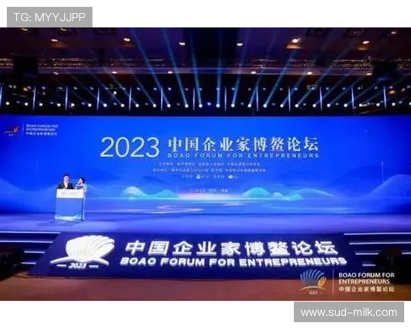 中国企业家创新突破与全球布局的崛起之路与未来展望